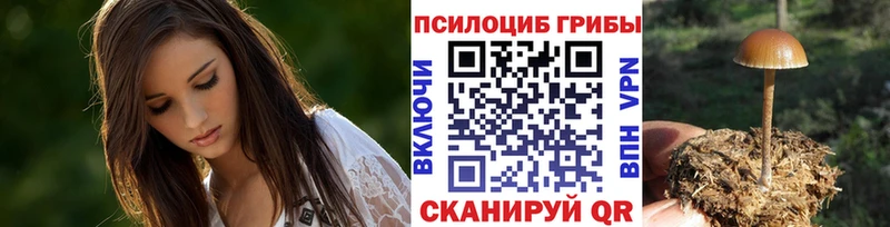 гидра онион  наркота  Фёдоровский  Галлюциногенные грибы Psilocybe 